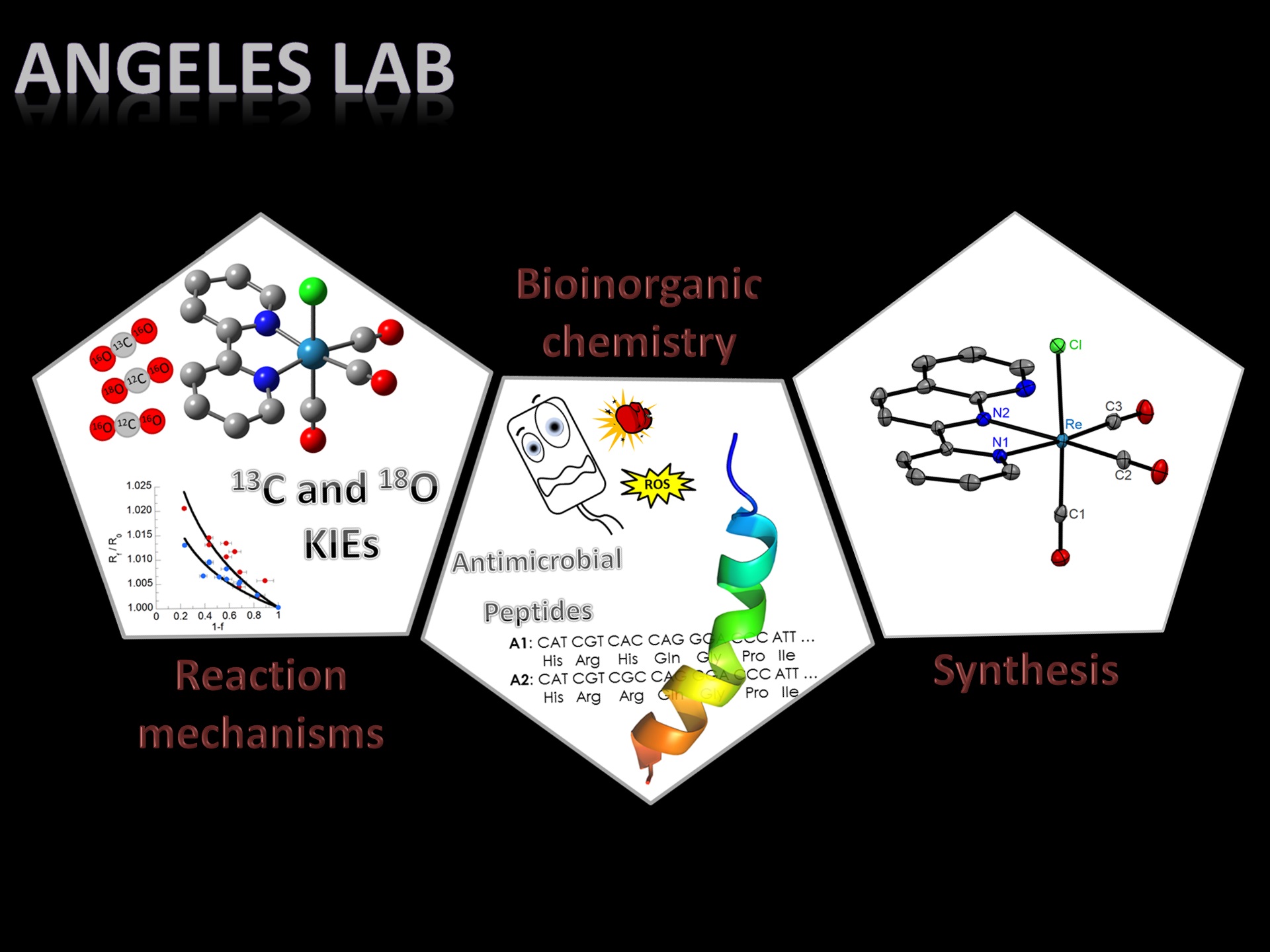 Angelas Lab